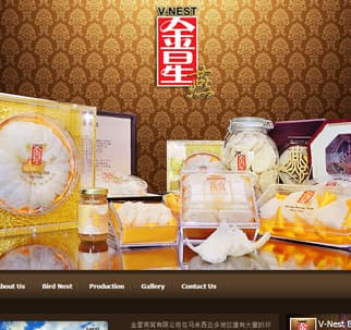 vnest.com.my